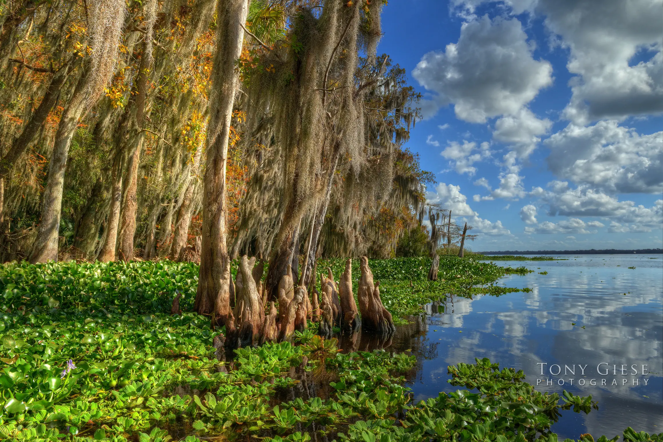 Professional landscape photography by Tony Giese Photography