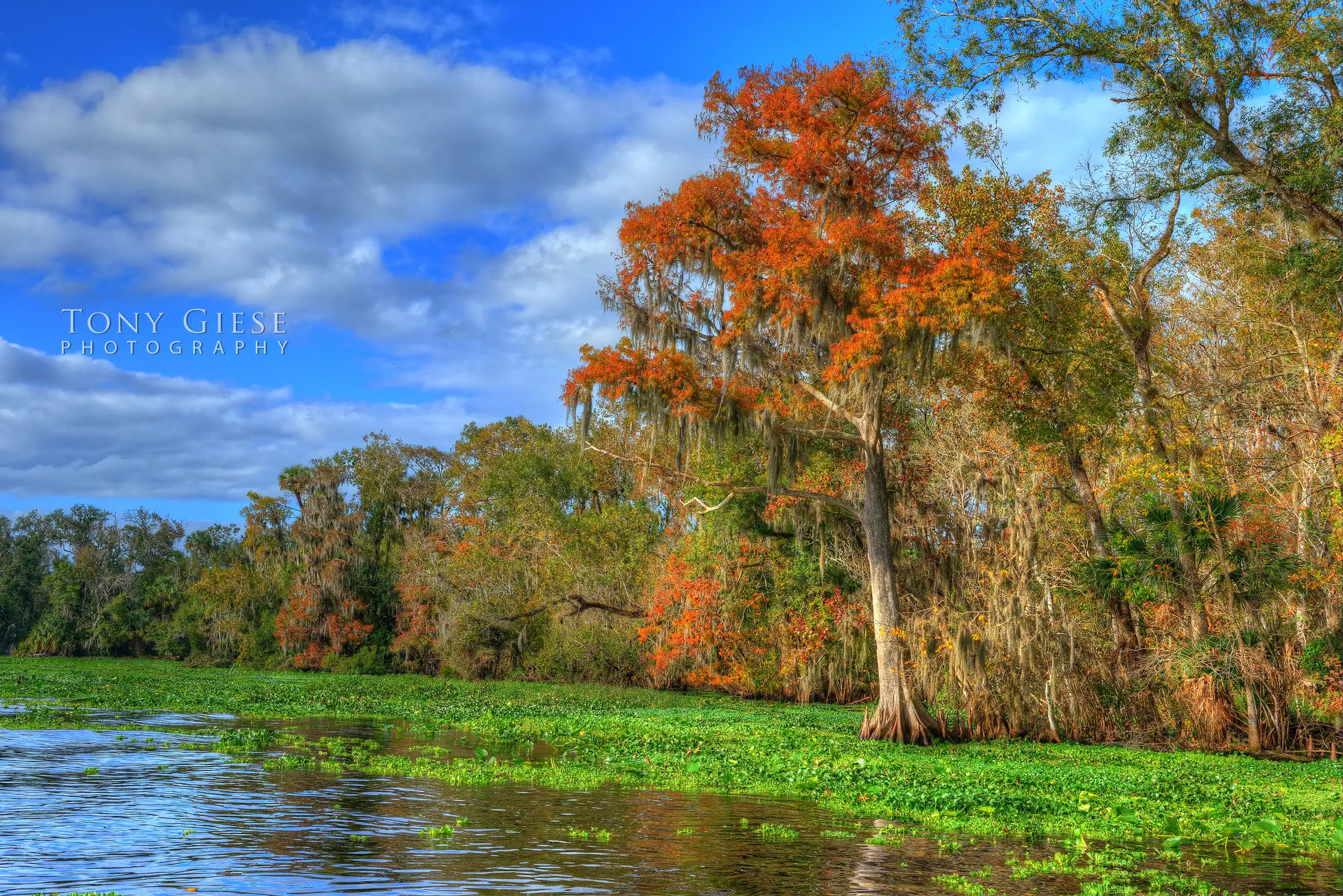 Professional landscape photography by Tony Giese Photography