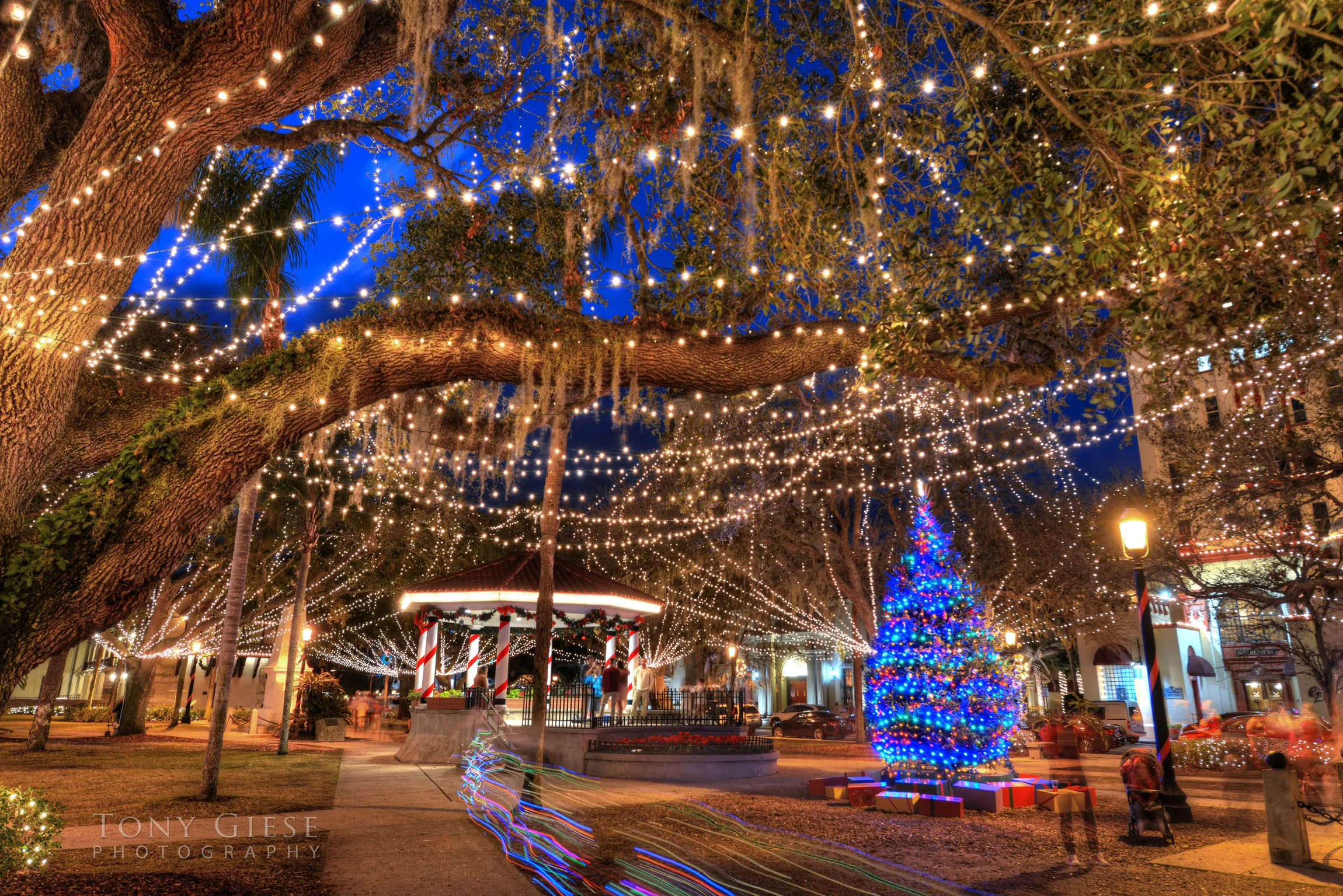 Nights of Lights